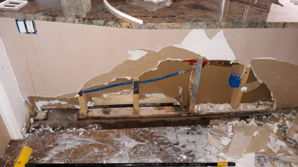 Best Water damage restoration specialists  in Unalaska, AK